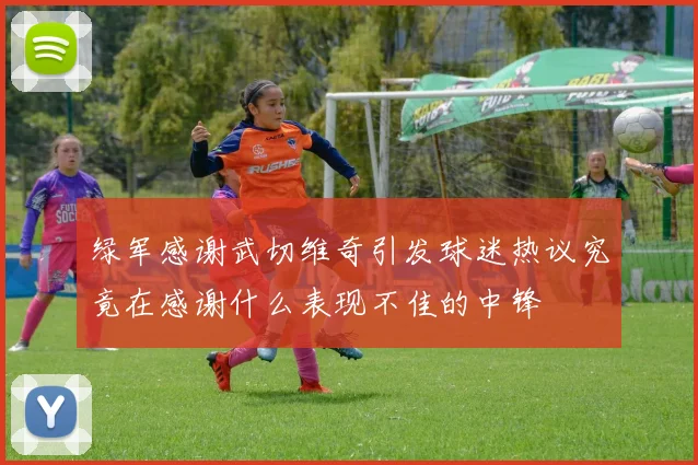 绿军感谢武切维奇引发球迷热议究竟在感谢什么表现不佳的中锋